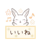 毎日使える※うさぎさん（個別スタンプ：20）