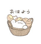 くまりさんのLINEスタンプ 2（個別スタンプ：1）