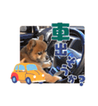 ぽめだらけ2（個別スタンプ：35）