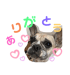 最近のルーちゃんとローちゃん（個別スタンプ：9）