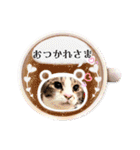 日常挨拶ねこにゃ〜年間使えるスタンプです（個別スタンプ：17）