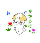かわいいマルプー❤️ミリィの日常（個別スタンプ：12）