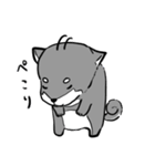 よく使う黒柴犬スタンプ【日常編】（個別スタンプ：1）