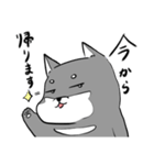 よく使う黒柴犬スタンプ【日常編】（個別スタンプ：15）