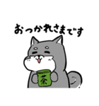 よく使う黒柴犬スタンプ【日常編】（個別スタンプ：16）