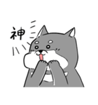 よく使う黒柴犬スタンプ【日常編】（個別スタンプ：28）