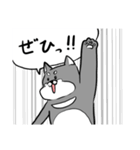 よく使う黒柴犬スタンプ【日常編】（個別スタンプ：36）