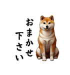 敬語あいさつ【柴犬】（個別スタンプ：2）