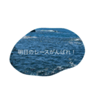 スイマー専用（個別スタンプ：8）