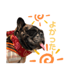 ルーちゃんとローちゃんの最近（個別スタンプ：8）