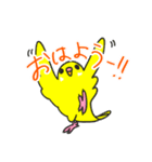日常で使える手書きセキセイインコ（個別スタンプ：1）