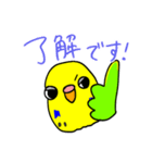 日常で使える手書きセキセイインコ（個別スタンプ：4）