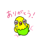 日常で使える手書きセキセイインコ（個別スタンプ：7）