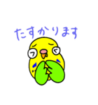 日常で使える手書きセキセイインコ（個別スタンプ：8）