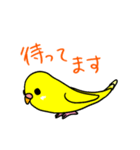 日常で使える手書きセキセイインコ（個別スタンプ：11）
