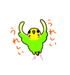 日常で使える手書きセキセイインコ（個別スタンプ：12）