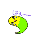 日常で使える手書きセキセイインコ（個別スタンプ：17）