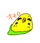 日常で使える手書きセキセイインコ（個別スタンプ：19）