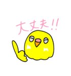 日常で使える手書きセキセイインコ（個別スタンプ：22）