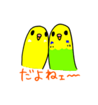 日常で使える手書きセキセイインコ（個別スタンプ：25）