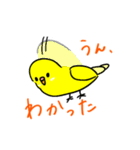 日常で使える手書きセキセイインコ（個別スタンプ：26）