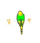 日常で使える手書きセキセイインコ（個別スタンプ：27）