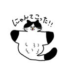 ねこマンタ（個別スタンプ：2）