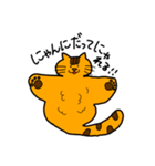 ねこマンタ（個別スタンプ：7）