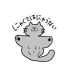 ねこマンタ（個別スタンプ：13）