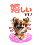 BIGスタンプ 年中使えるチワワ（個別スタンプ：8）