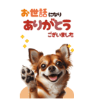 BIGスタンプ 年中使えるチワワ（個別スタンプ：36）