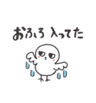 ◉使いやすい◉イケメンなトリ◉（個別スタンプ：40）