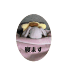 たんたんスタンプ⑧（個別スタンプ：3）