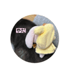 たんたんスタンプ⑧（個別スタンプ：4）