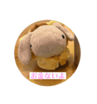 たんたんスタンプ⑧（個別スタンプ：5）