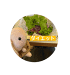 たんたんスタンプ⑧（個別スタンプ：6）