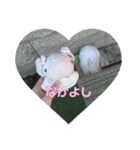 たんたんスタンプ⑧（個別スタンプ：9）