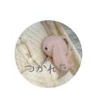 たんたんスタンプ⑧（個別スタンプ：11）