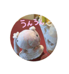 たんたんスタンプ⑧（個別スタンプ：13）