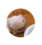 たんたんスタンプ⑧（個別スタンプ：14）