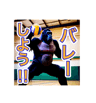 バレーボールが大好きな、ゴリラさん（個別スタンプ：1）