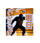 バレーボールが大好きな、ゴリラさん（個別スタンプ：2）