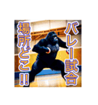 バレーボールが大好きな、ゴリラさん（個別スタンプ：5）