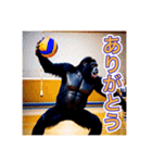 バレーボールが大好きな、ゴリラさん（個別スタンプ：6）