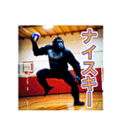バレーボールが大好きな、ゴリラさん（個別スタンプ：15）