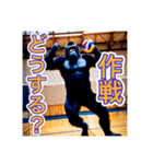 バレーボールが大好きな、ゴリラさん（個別スタンプ：16）