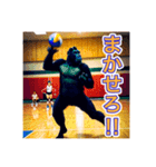 バレーボールが大好きな、ゴリラさん（個別スタンプ：17）