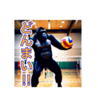 バレーボールが大好きな、ゴリラさん（個別スタンプ：18）