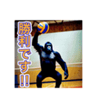 バレーボールが大好きな、ゴリラさん（個別スタンプ：20）