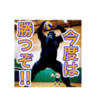 バレーボールが大好きな、ゴリラさん（個別スタンプ：22）